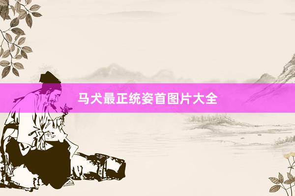马犬最正统姿首图片大全